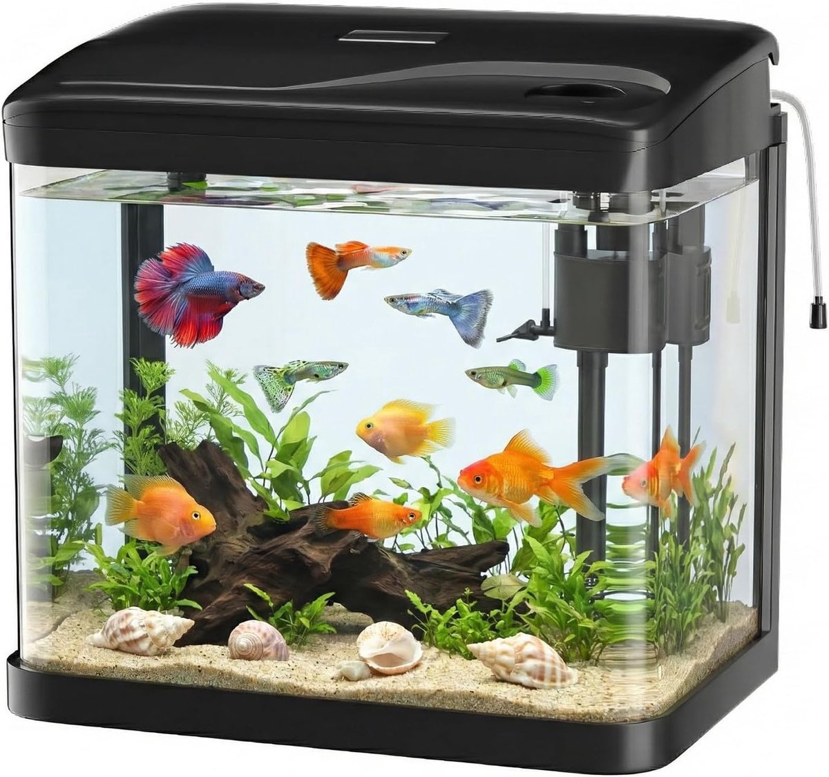 SnelShoppen - 10L Nano Aquarium Set met LED Verlichting & Filter Systeem - Compact Zwart Mini Aquarium Compleet voor Thuis & Kantoor