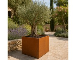 Plantenbak Cortenstaal 50x50x50 cm