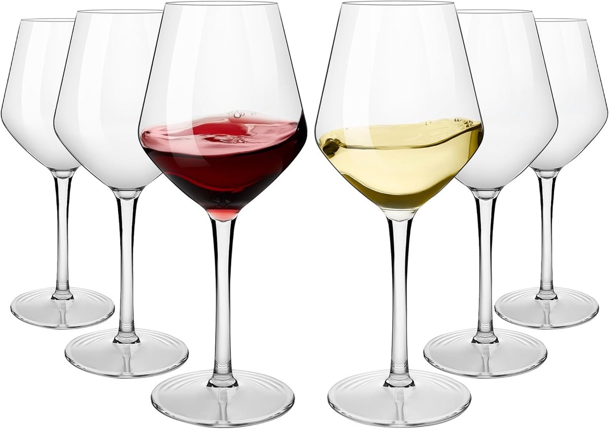 SnelShoppen - Plastic Wijn Glazen 440ml - Schokbestendige Tritan Party Glazen voor Camping, Buiten en Thuis Gebruik - Lichtgewicht en Veilig (Set van