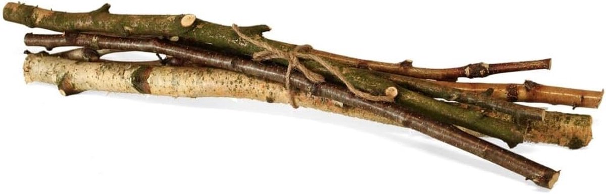Decoratie takken - Natuurlijke takken - Huis decoreren - Echt berkenhout - 6 stuks 50 cm - Grijs