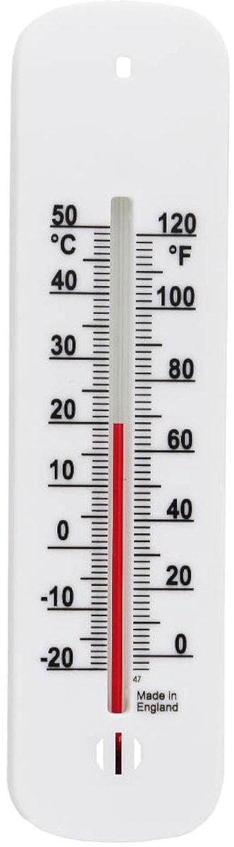 SnelShoppen - Wandthermometer Voor Binnen en Buiten - Tuin, Serre, Thuis, Kantoor, Kamer - Temperatuurmeter - -20 tot +50 °C - Eenvoudig te Hangen - 1