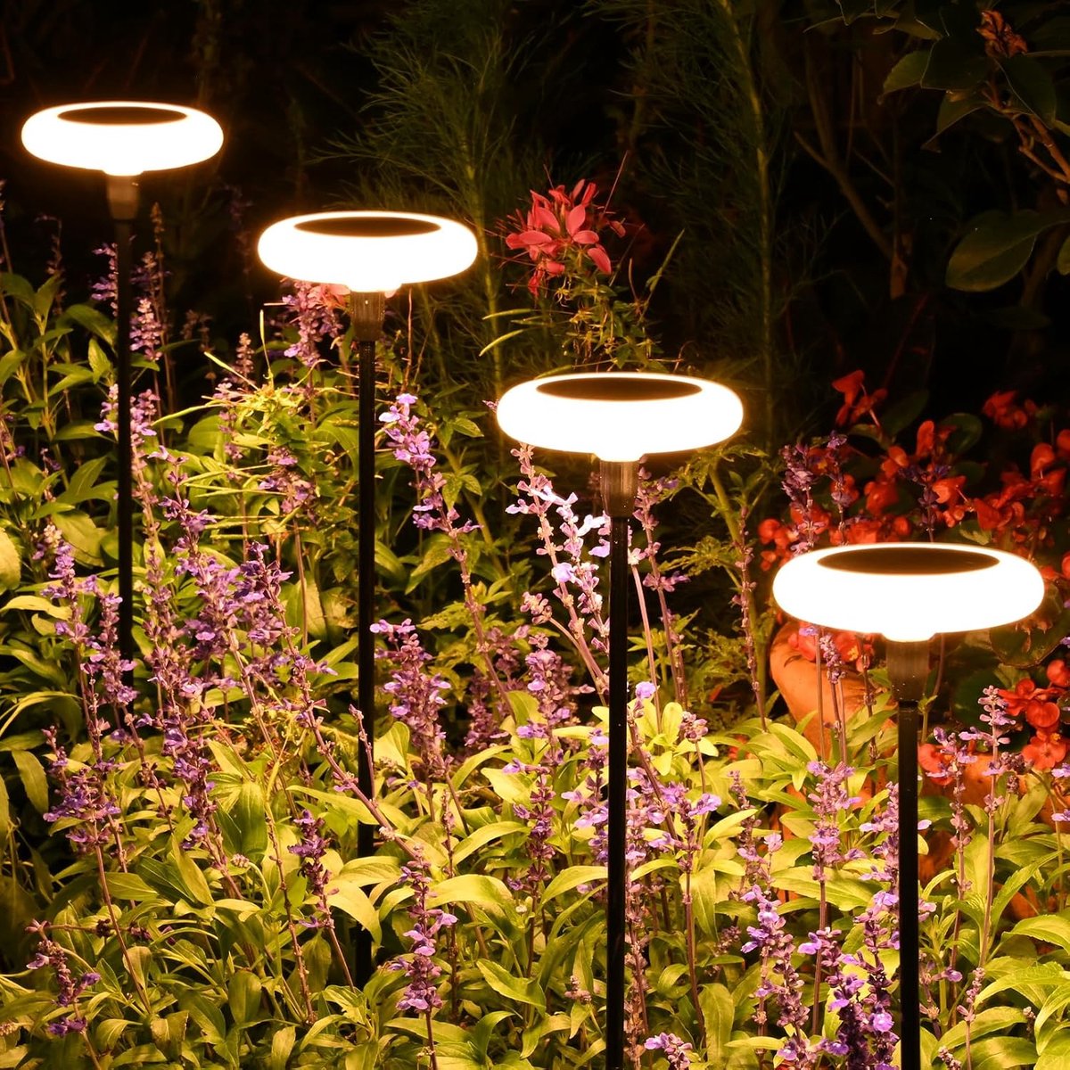 SnelShoppen - Pack van 4 Solar Lights Tuinverlichting Warm Wit LED Buitenverlichting Super Helder 36 Lumen IP65 Waterproof voor Tuin, Patio, Gras, Bui