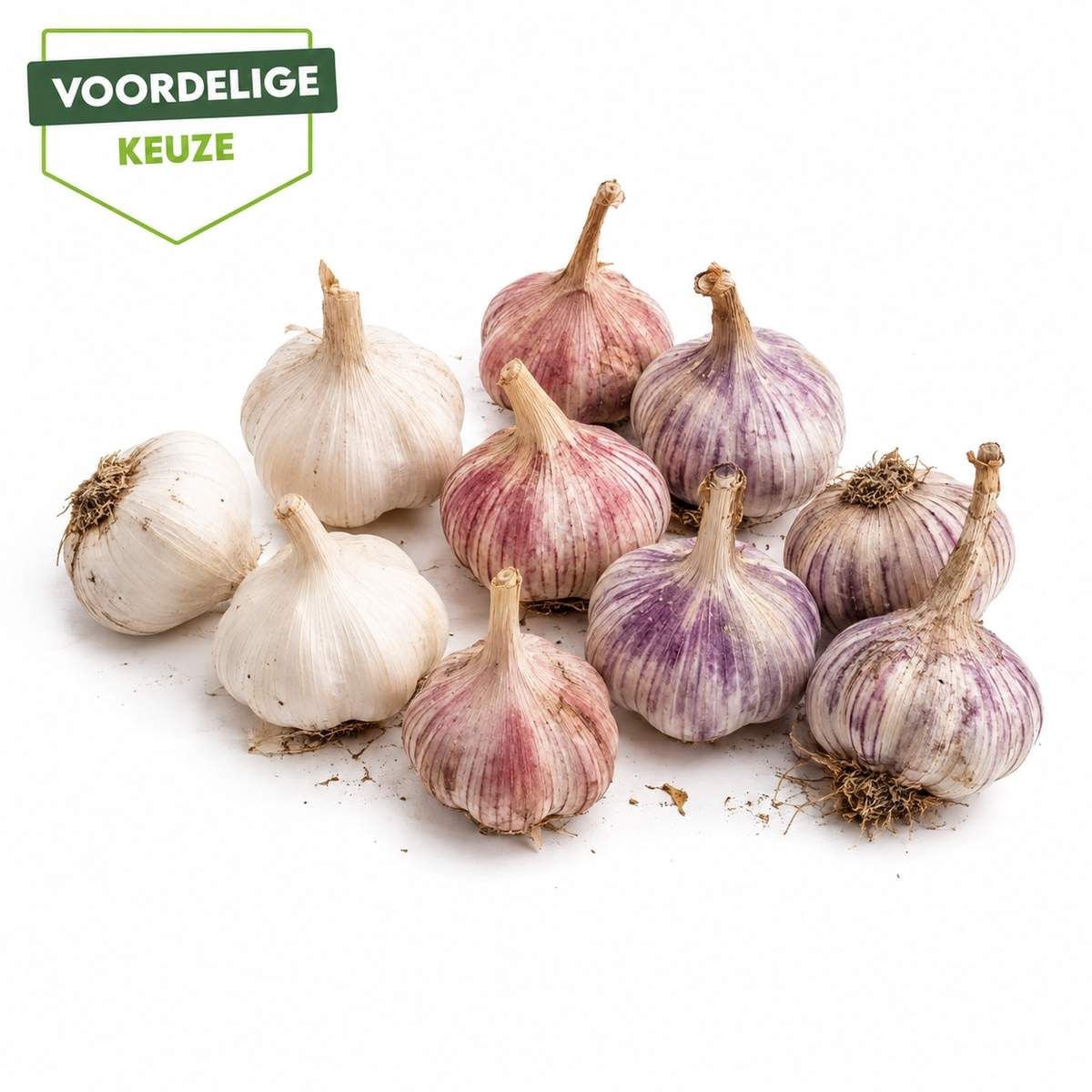 Plantknoflook Mix – 9 Bollen – 3 Witte, 3 Rode & 3 Roze Knoflook – Najaarsknoflook – Pootknoflook – Zelf Knoflook Kweken