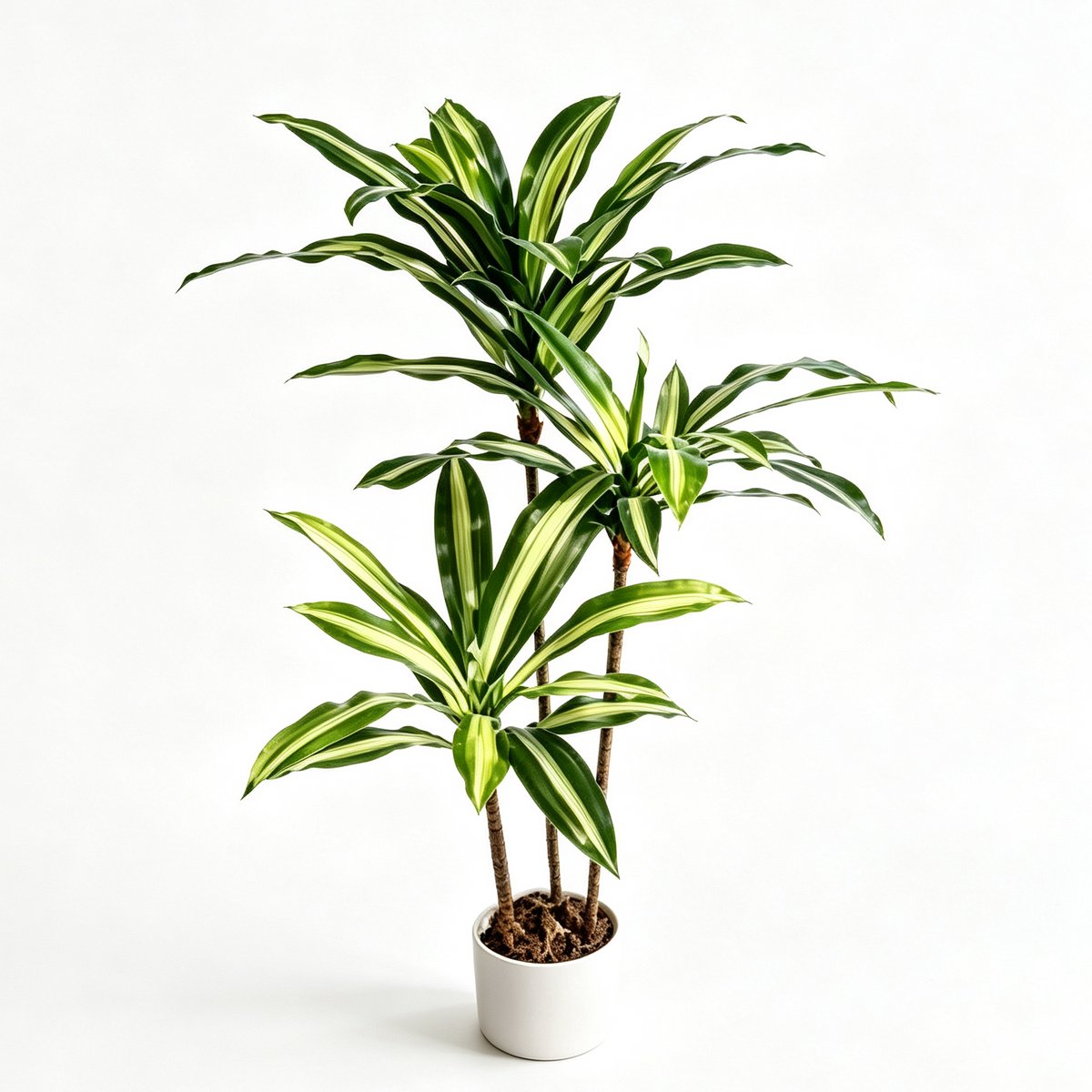 HOERFURIY Kunst Dracaena Brasil 100cm - PEVA PE bladeren met verzwaarde pot mosbedekking - compacte kunstplant voor bureau kast vensterbank woonkamer decoratie