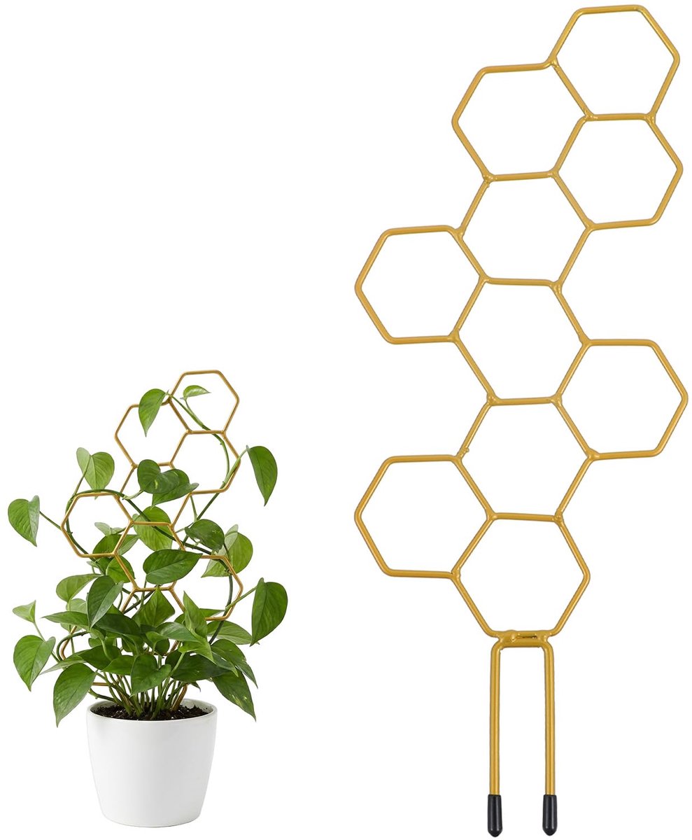 Plantenrek voor Kamerplanten 35 cm - Honingraat Klimrek van Metaal - Klimsteun voor Potplanten, Hoya, Pothos & Andere Klimplanten - Decoratieve Plantensteun voor Binnen