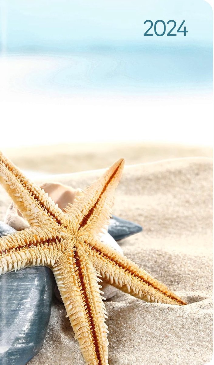 Slim Sea Star 2024 - Taschen-Kalender 9x15,6 cm - Seestern - Weekly - 128 Seiten - Notiz-Buch - Alpha Edition