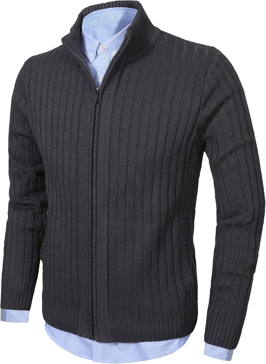 Aoli ray Herenvest, herfst, winter, met ritssluiting, slim fit, informele mesh jas, rechte kraag, lange mouwen, met 2 zakken