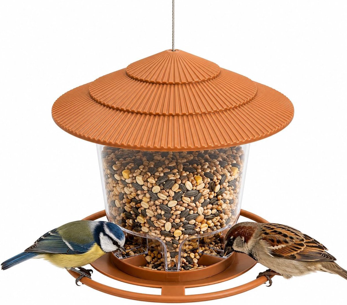 Oraymin Vogelvoedersilo voor Tuinvogels – Hangend Vogelvoederhuisje – Bruin – Transparant – Voor Tuin en Balkon