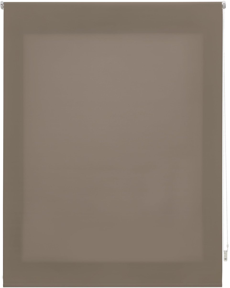 Transparante Rolgordijn 160 x 250 cm, Voor Ramen