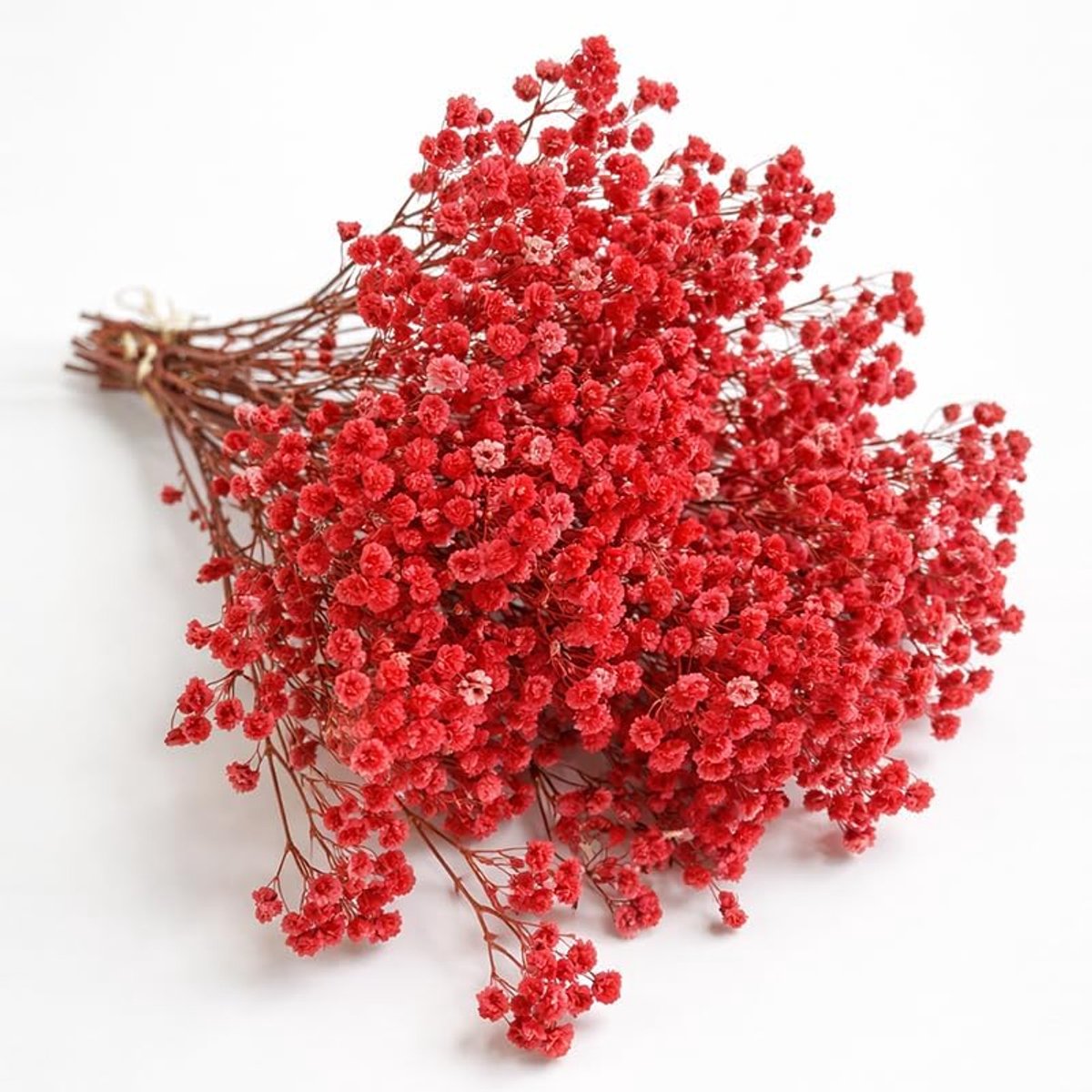 Gedroogde gypsophila bloemen (rood)