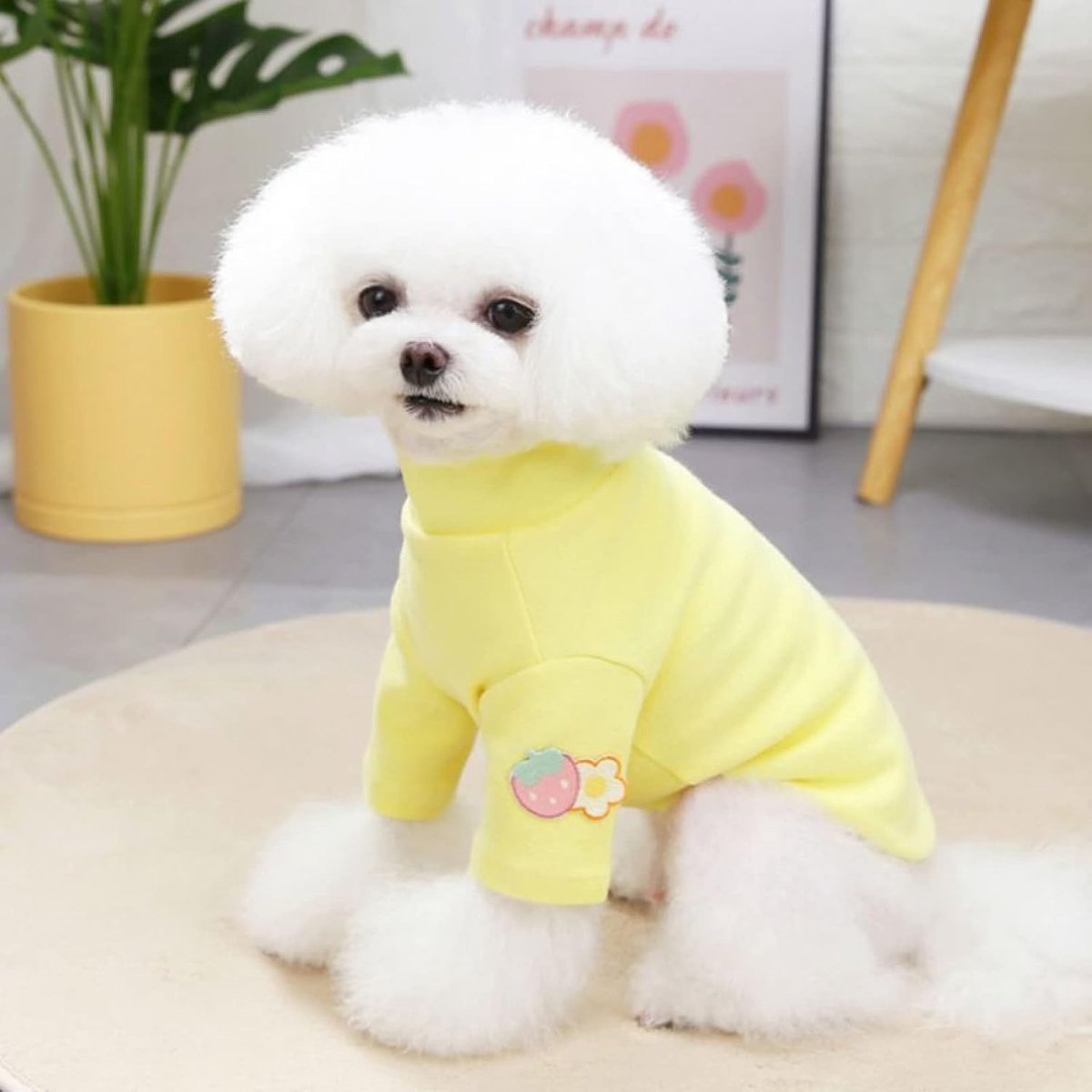 Aardbei print hondenkleding herfst winter huisdier sweatshirt teddy kat onderbroek shirt puppy warme kleding chihuahua Yorkies trui