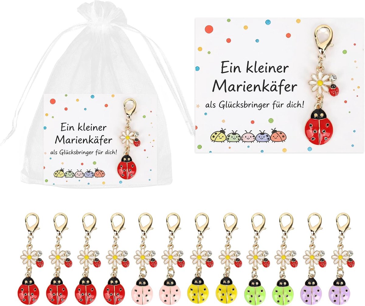 12 stuks cadeautjes voor kinderverjaardag, gastgeschenk voor 6, 7, 8, 9, 10 jaar, 5 kleuren, lieveheersbeestje, geluksbrenger, sleutelhanger, kleine cadeaus, give-aways-set, verjaardag, meisjes