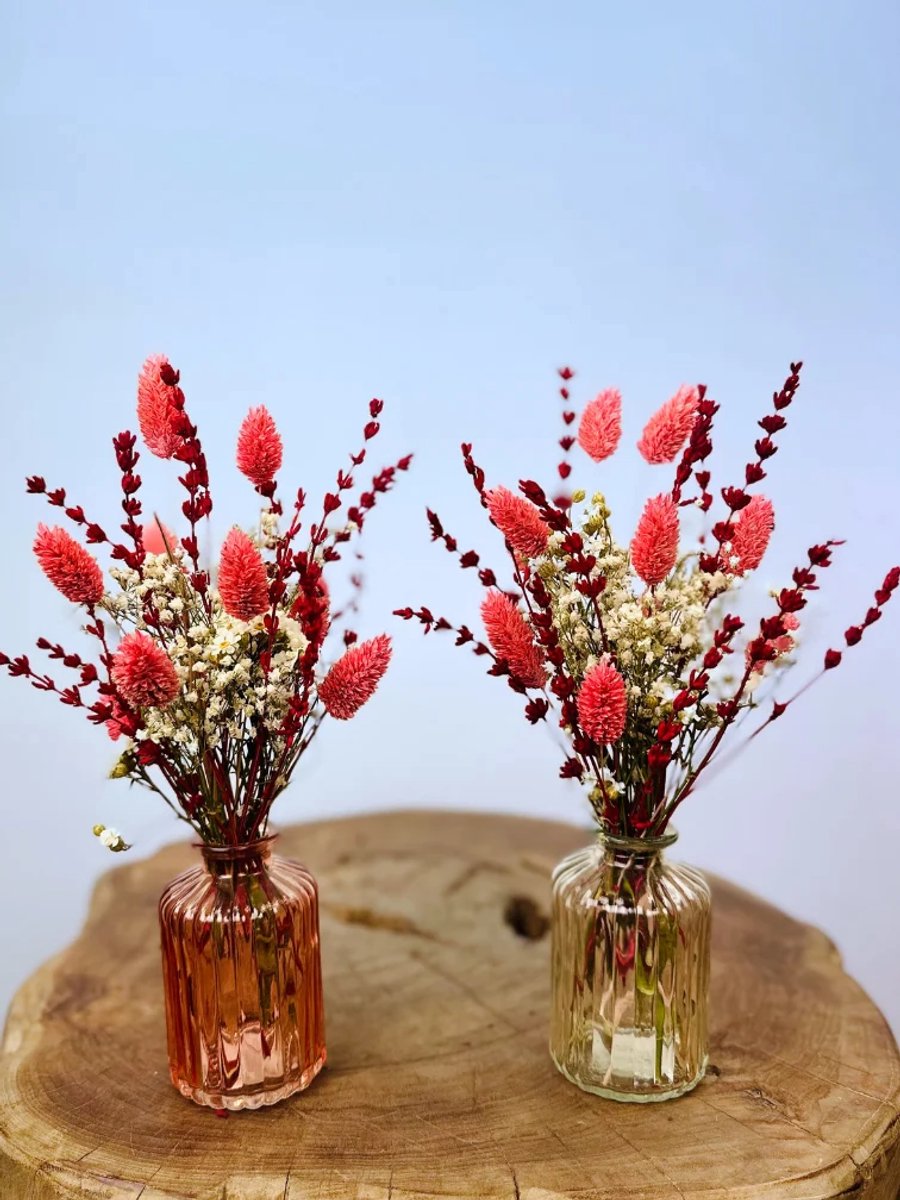 2x "Dreamy Pink" incl. vaasjes (roze & transparant) | Setje | 25cm | Perfect als cadeau