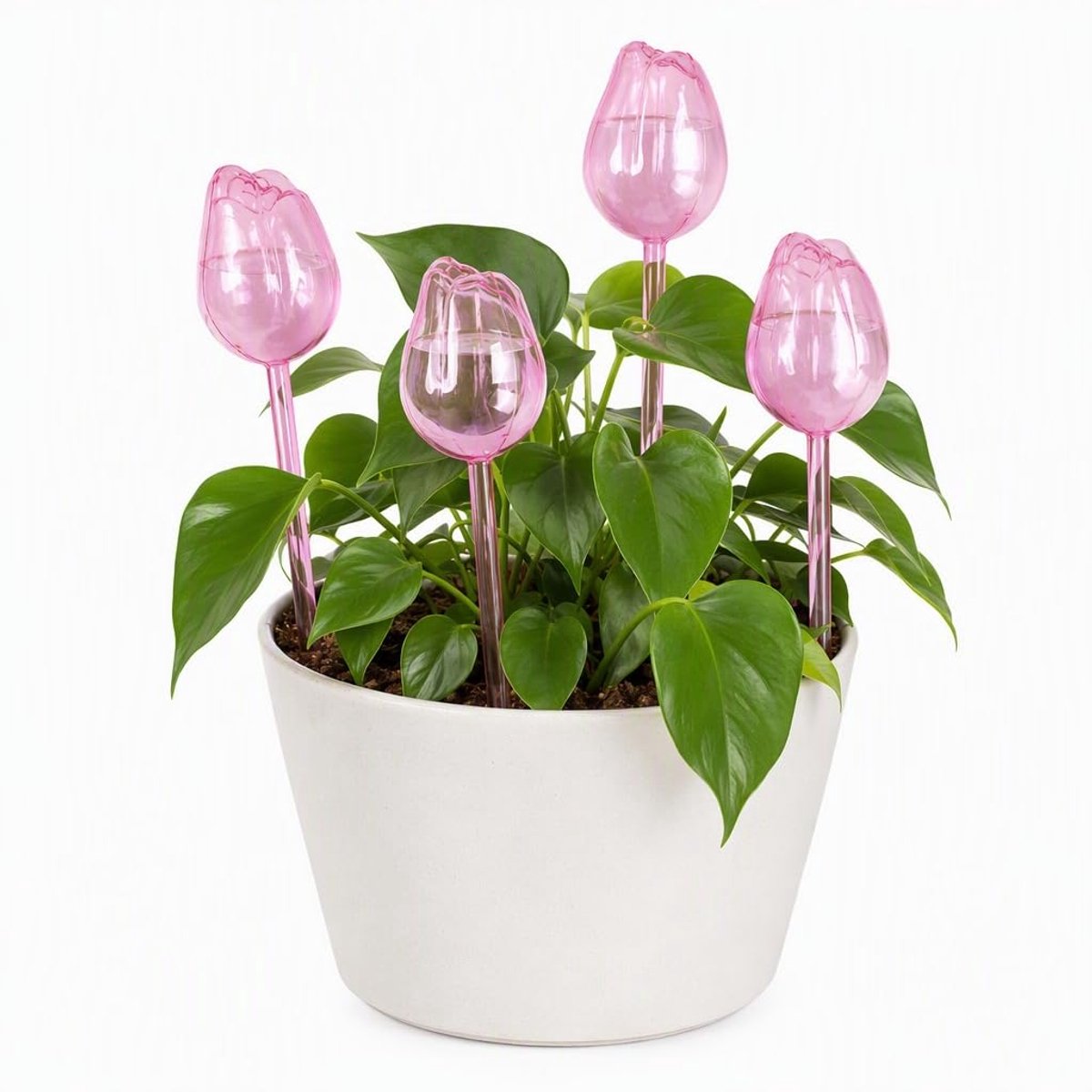 4 zelfbewaterende ballonnen voor planten, zelfbewaterende ballonnen, transparant, regenballen voor planten op vakantie, zelfbewatering voor potplanten binnen en buiten
