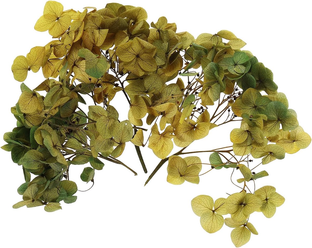 Gedroogde hortensia bloem, 10g natuurlijke geperste bloemen echte hortensia's bloemblaadjes voor doe-het-zelf hars ambachten kaart bloemen cadeau kaars maken decor, gradiënt donker