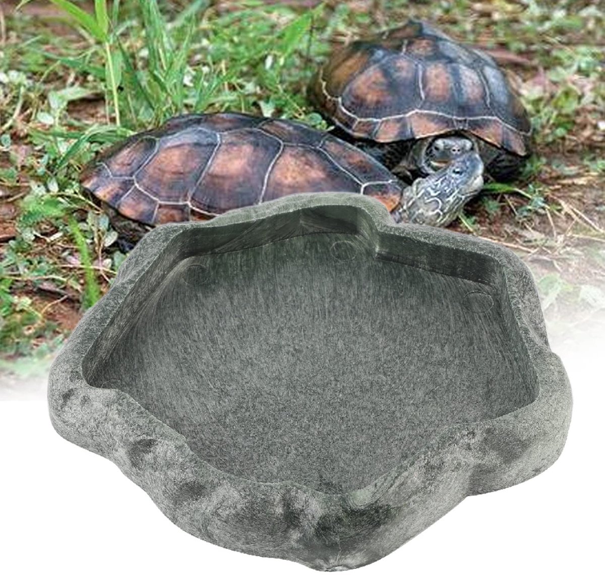 Dailygoods - Hagedis Feeder Kom ABS Hars Huisdier Feeder Reptiel Rock Voedsel en Water Schotel Feeder Kom voor Schildpad Hagedis(S-Smaragd Zwart)