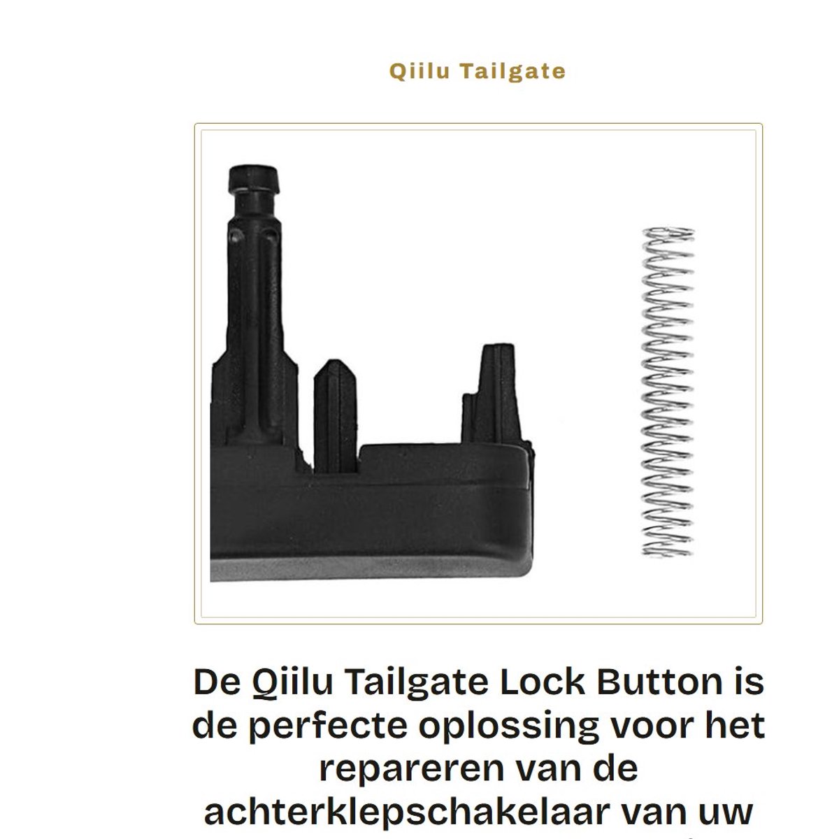 Dailygoods- Kofferslot Knop - Reparatieset - Voor Megane/Scenic - 7700435694 - Duurzaam - Eenvoudige installatie