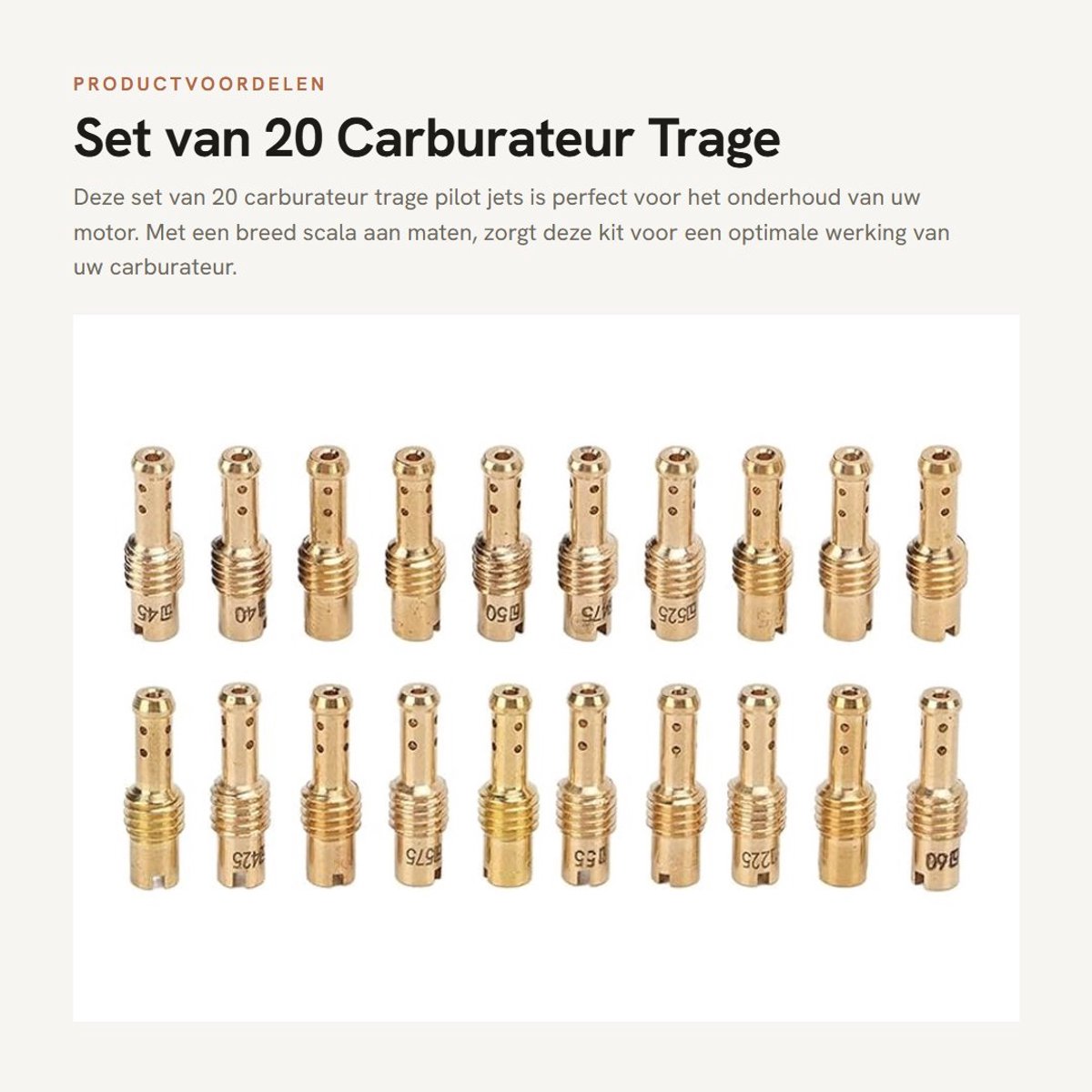 Dailygoods- Pilootjet 20 Stuks - Carburateur Sproeiers - Vervangingsset - Hoogwaardige Kwaliteit - Geschikt voor VM/TM/TMX Carburateurs - Metalen Constructie