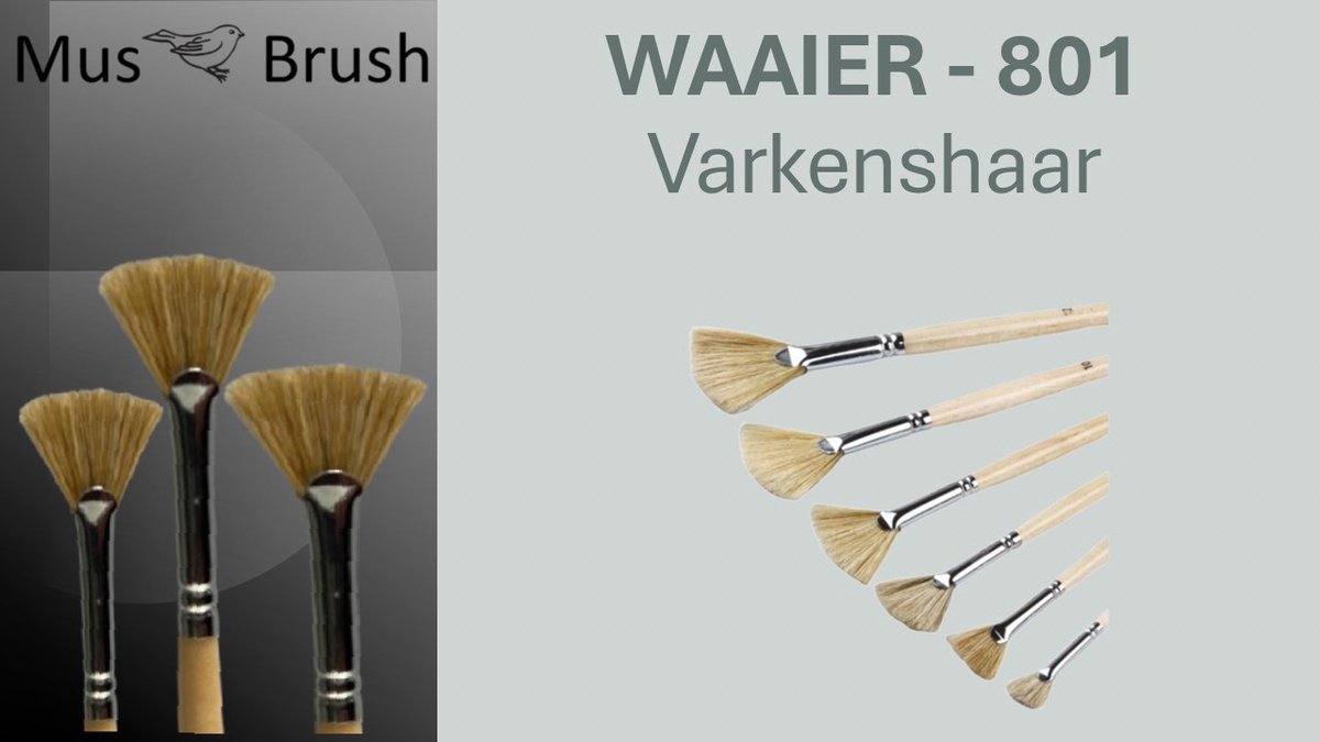 MusBrush Serie 801 Waaier Penseelset - 6-delig - Varkenshaar (Hog Brush) - Voor Alle Verfsoorten - Olieverf, Acryl & Structuren