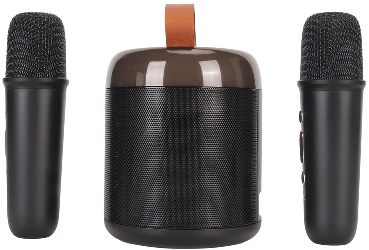 Dailygoods- Karaoke-machine Draagbaar - 2 - Bluetooth-luidspreker