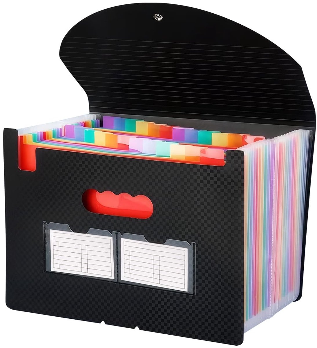Dailygoods- Waaiermap A4 met 12/24 vakken - Documentenmap - Organizer - Documentmanager - Indexkaart - Geavanceerd ontwerp