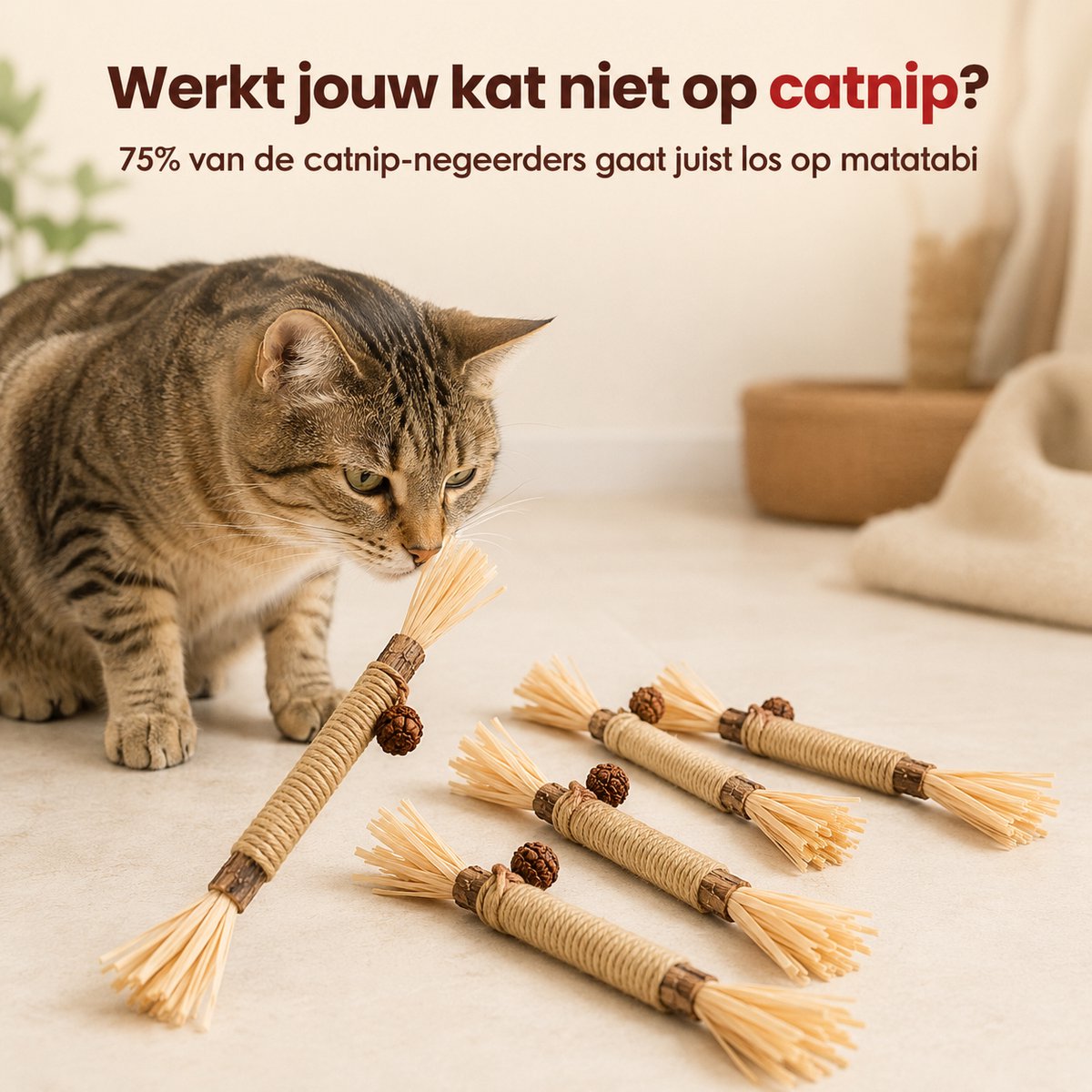 Jelka - Matatabi stokjes voor katten + 50GR catnip - Eetbaar - Gebitsreiniging - Speelgoed - Kattenkruid - catnip - 12 stuks - Kattenspeelgoed - Kattenspeeltje — cadeau in Cadeau-ideeën - foto 8
