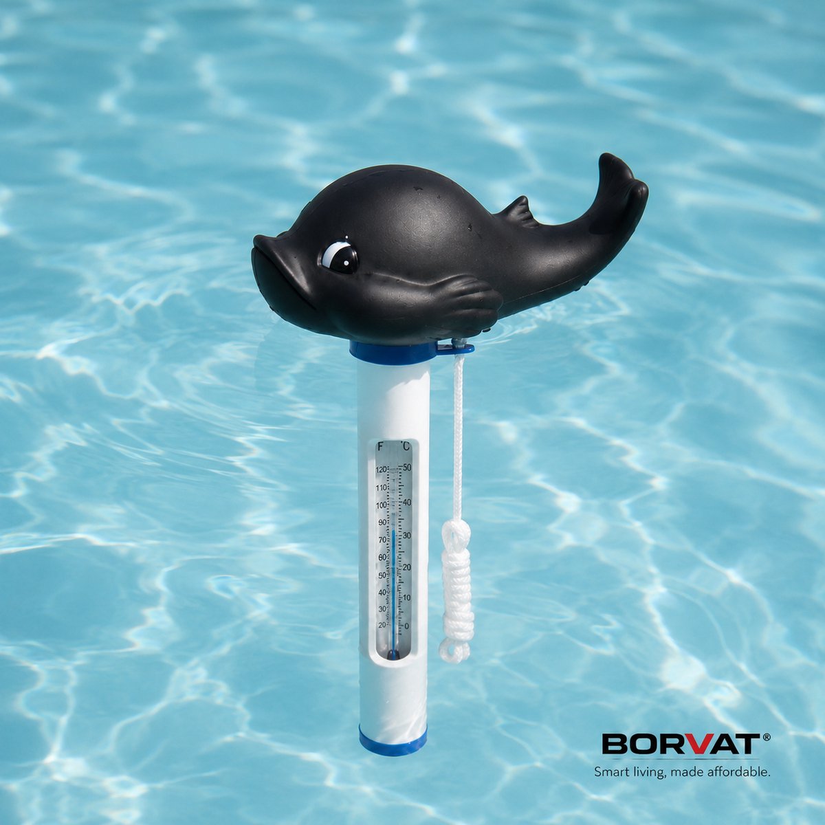 BORVAT® Zwembad Thermometer - Drijvende Vijverthermometer - Vis / Dolfijn Zwart - Inclusief Bevestigingskoord - 1 Stuks
