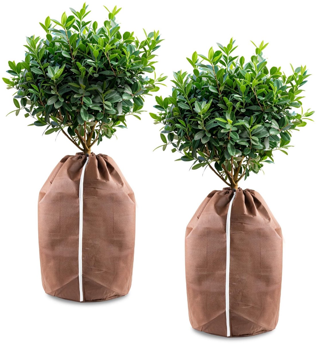 Dailygoods - Hydrogarden Potplanten, beschermende zak, thermische potbescherming, ademend, koudebescherming, vorstbescherming, winterbescherming, planten, tuin, plantenbeschermingszak voor palmen, balkonplanten, 50 x 45 cm (2 stuks