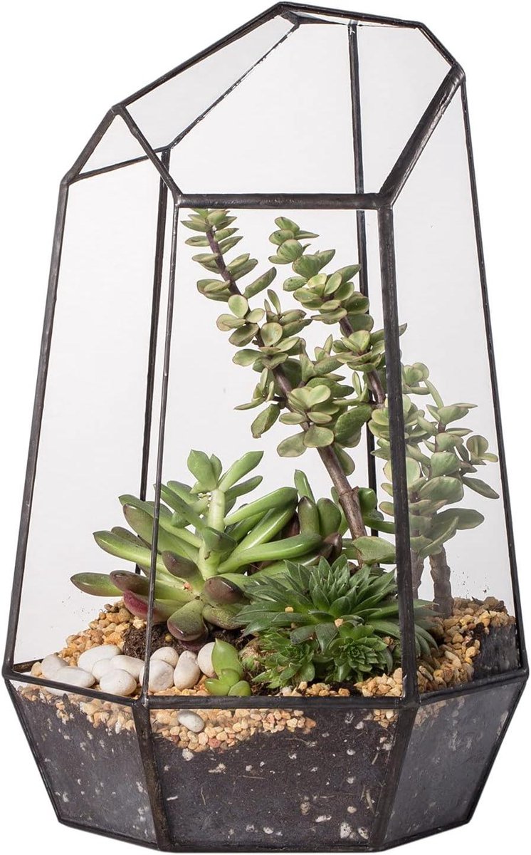 Glazen Terrarium - Plantenhuisje Decoratie - Planten Presenteren - Geometrisch Ontwerp - 16.5 x 14.5 x 25cm - Zwart