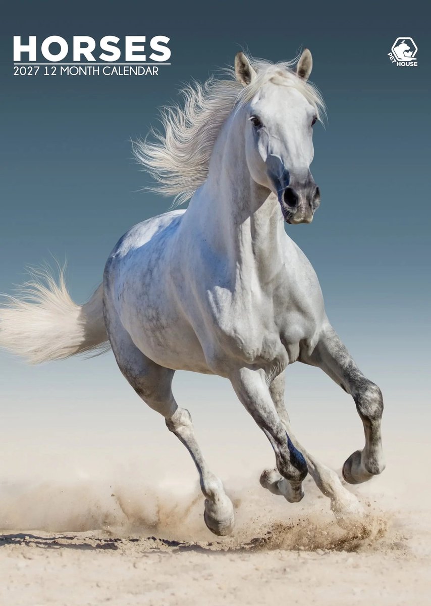 Paarden A3 Kalender 2027