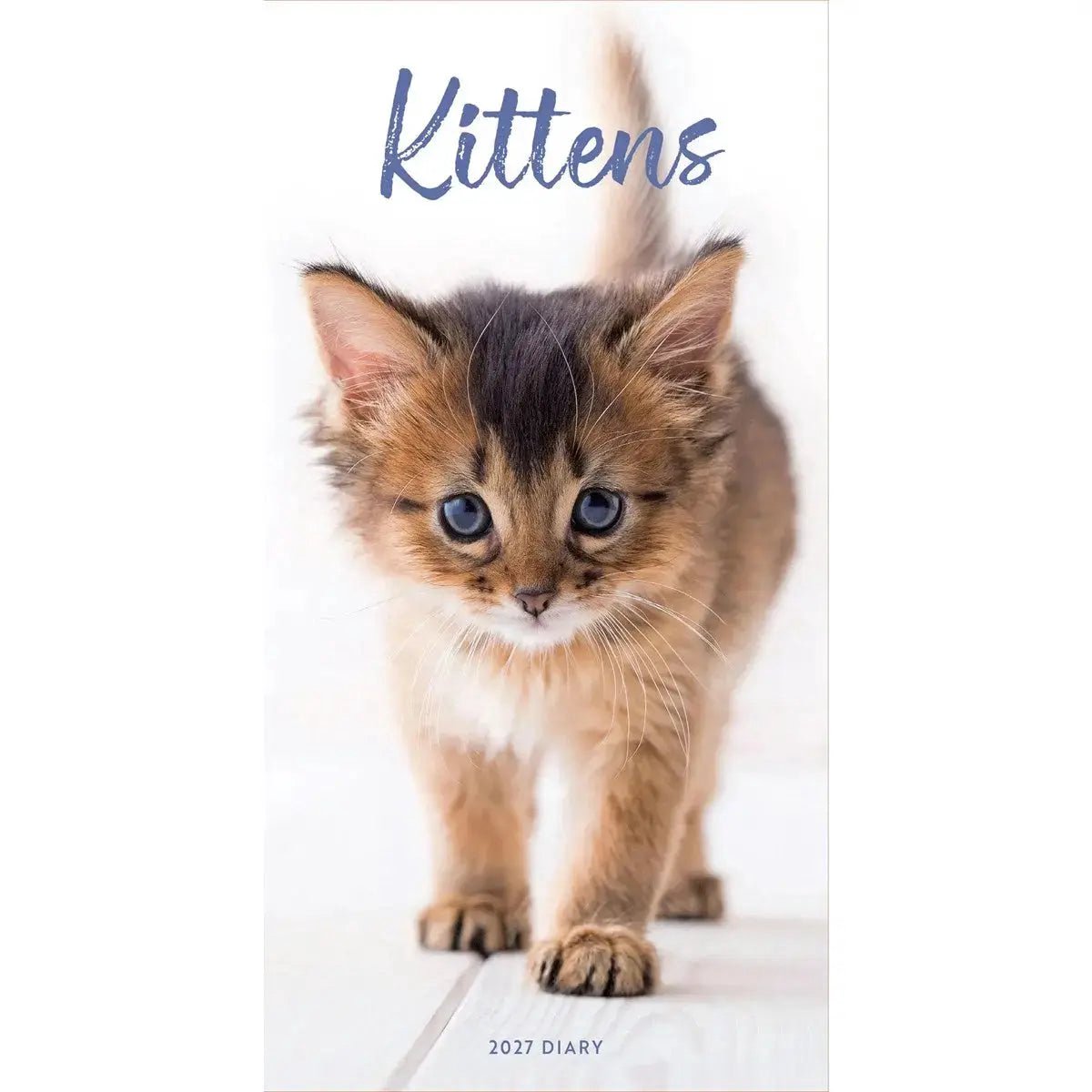 Kittens Slim Agenda 2027
