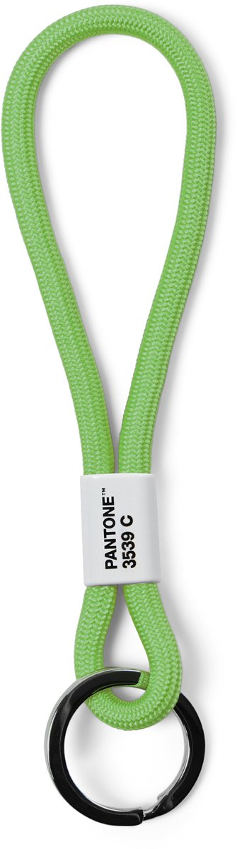 Pantone Mini-sleutelhanger – Nylon – 18 cm – Green 3539