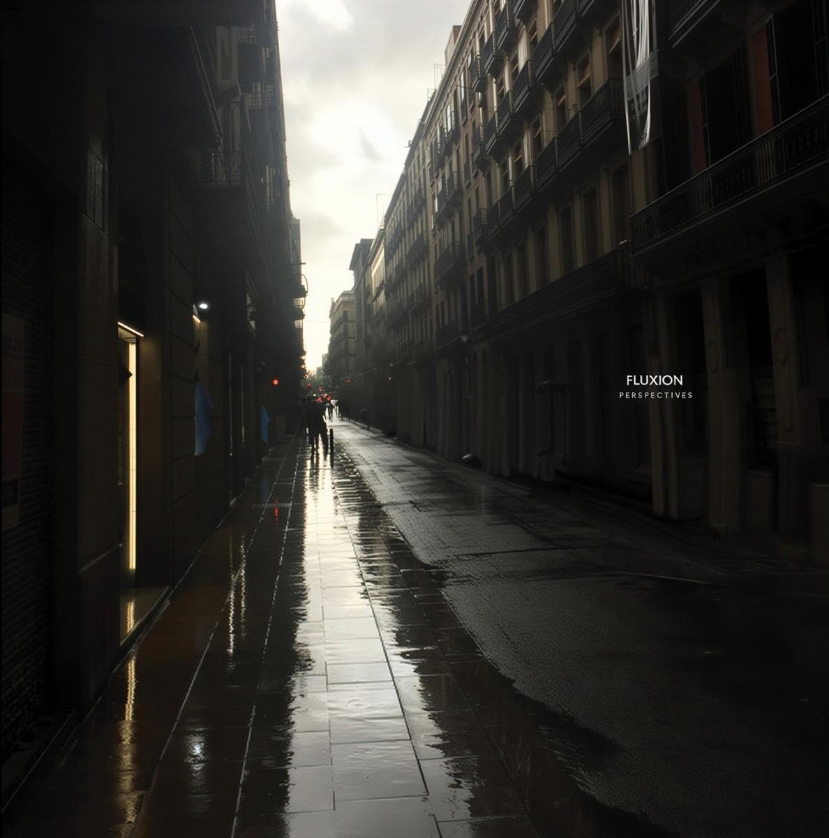 Fluxion - Perspectives (CD)