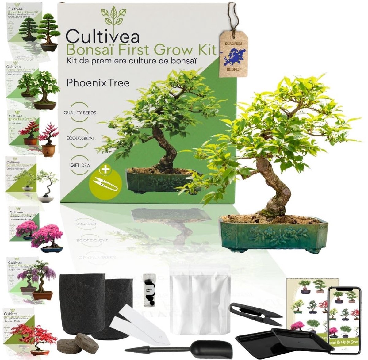 CULTIVEA® Eerste Bonsai Kweekset – Complete Doe-Het-Zelf Kit met Zaden & Accessoires – Origineel Cadeau-Idee (Carmona) - ShopVlot