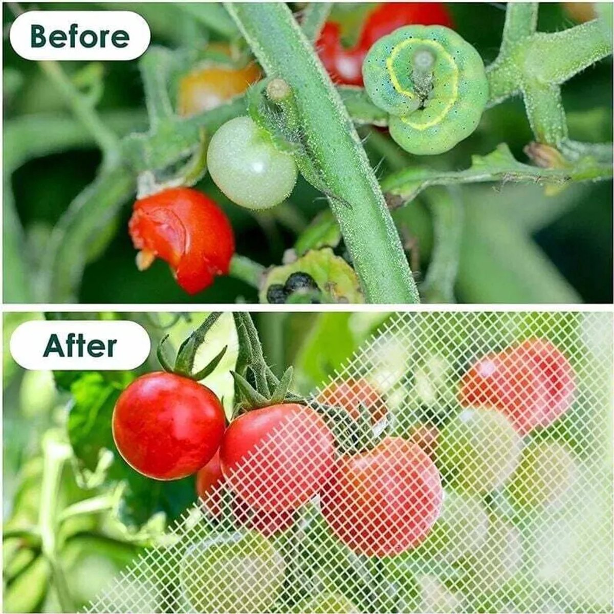 Insectenwerend net, insectenwerend net van 3x6 meter, insectenwerend net Geschikt voor de moestuin, insectenwerend net Geschikt voor fijne mazen, tuinnet, insectenwerend net Geschikt voor de groenteteelt