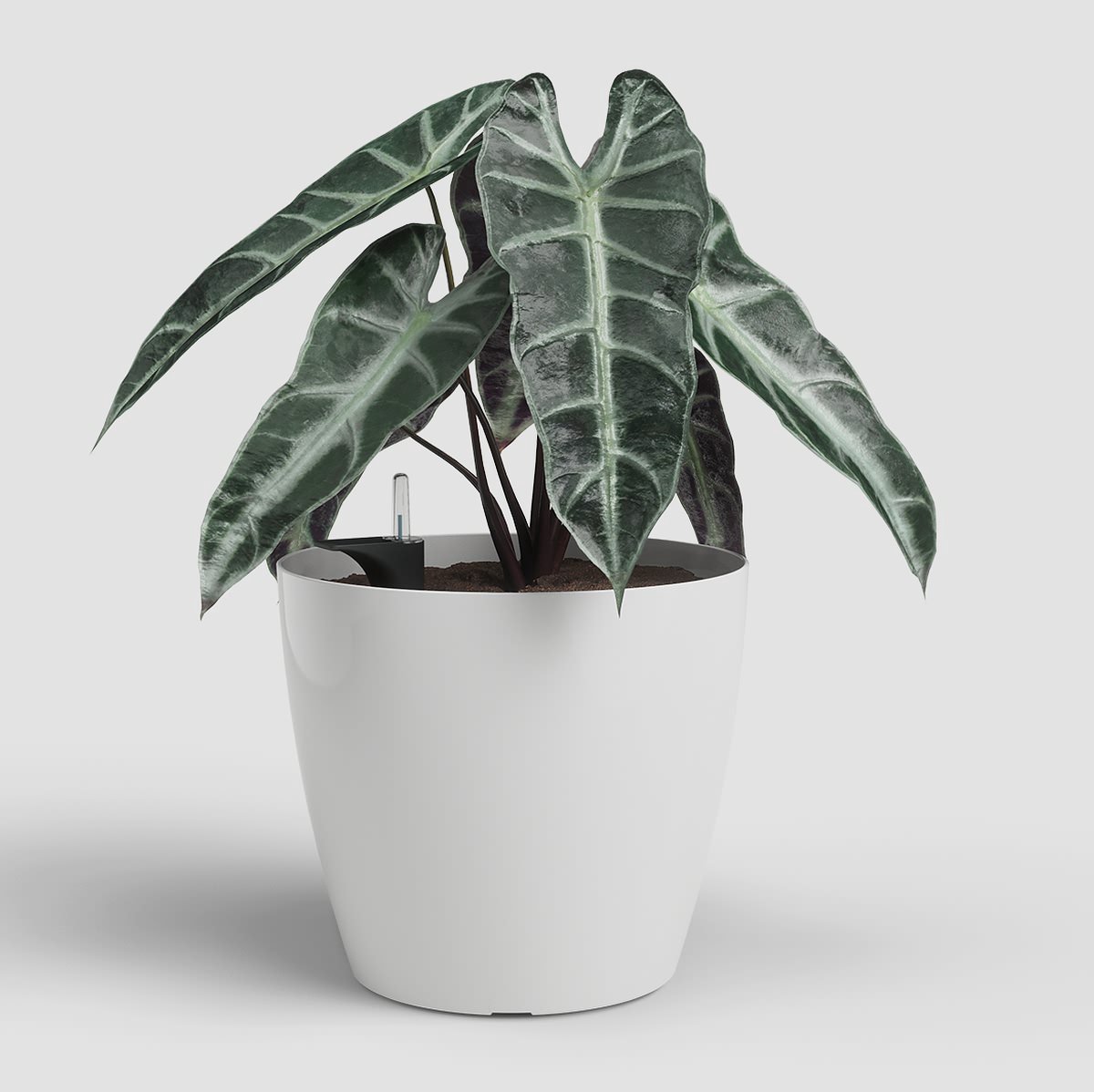 Artevasi San Remo Bloempot Zelfwaterend Ø 42,7 cm Wit - Plantenpot en Bloembak voor Binnen en Buiten
