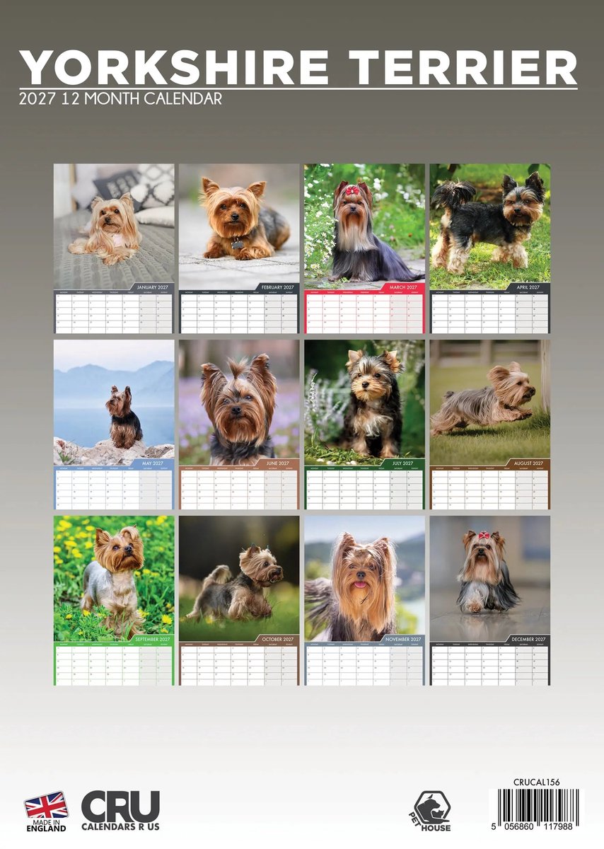 Yorkshire Terrier A3 Kalender 2027