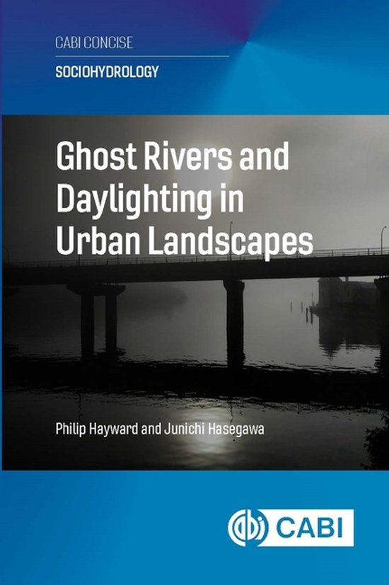 Boekomslag van 'Ghost Rivers and Daylighting in Urban Landscapes', met een brug over water en mist.