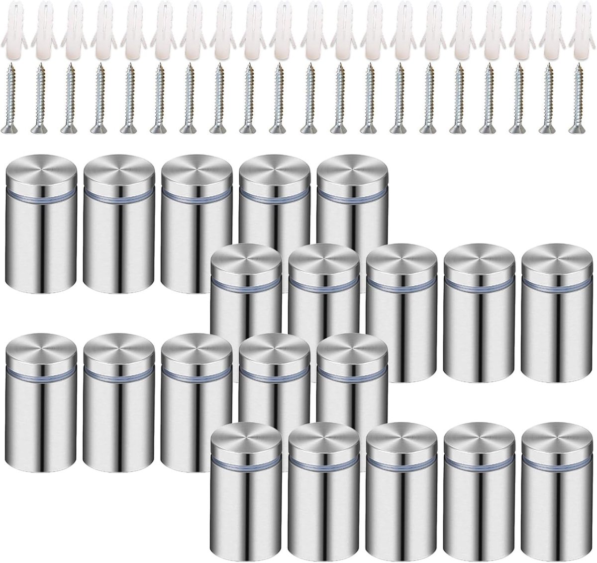 Set - 20 Stuks Roestvrijstalen Wandbevestigingsschroeven voor Acryl Fotolijsten, 12x25mm Bevestigingsschroeven voor Foto’s en Advertenties