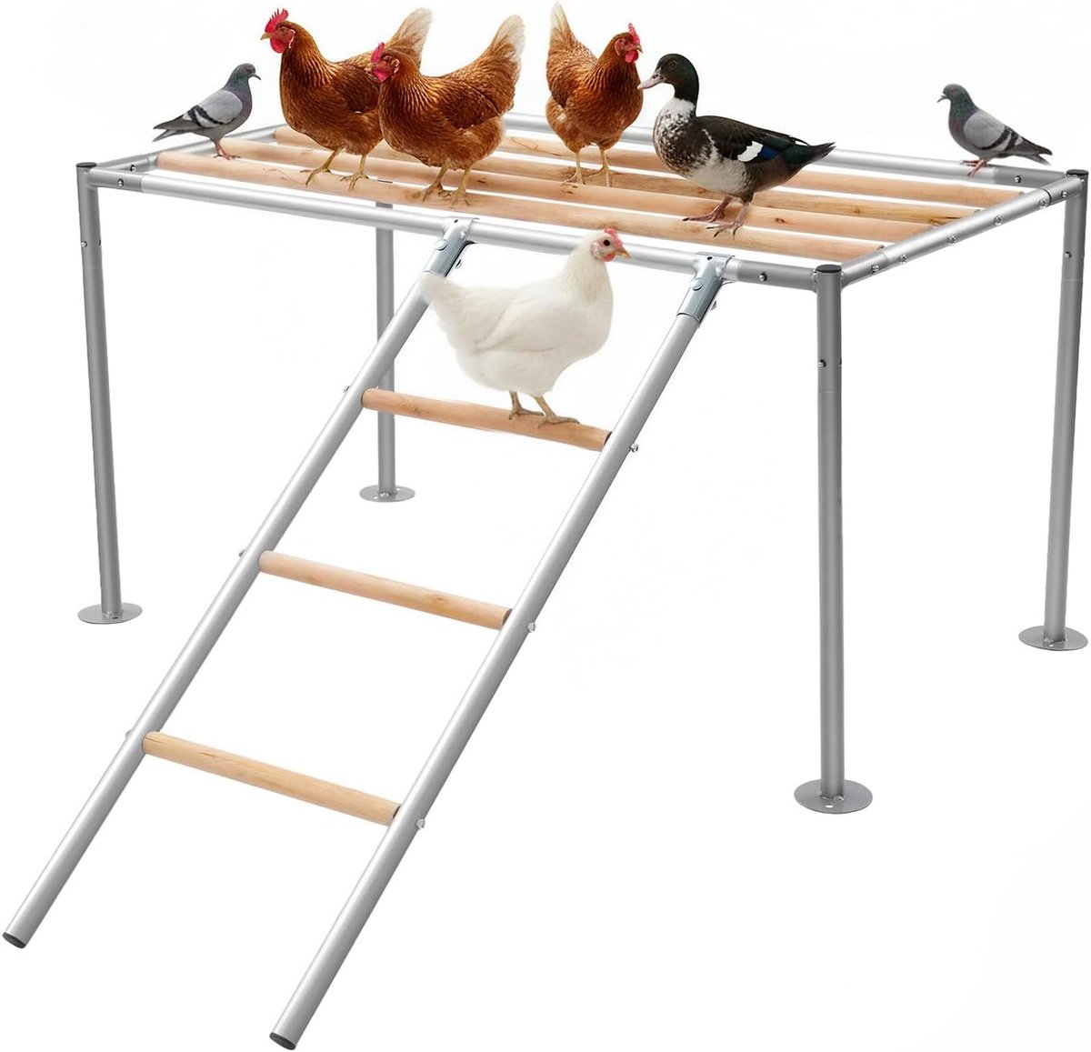 Kippenstok 105 x 60 x 60 cm - Met ladder en platform - Voor 10 volwassen kippen - Speel- en rustzone - SnelShoppen