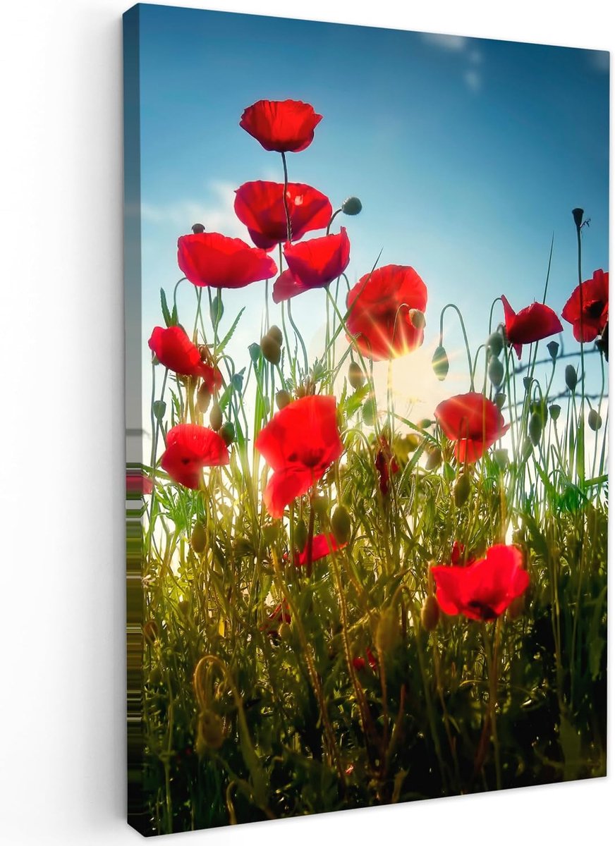 Canvas Schilderij 20x30 cm Kamer Muur Decoratie Woonkamer Slaapkamer Room Decor Wall Decoration Art Painting Klaprozen - Toscane - Zon - Rood - Blauw