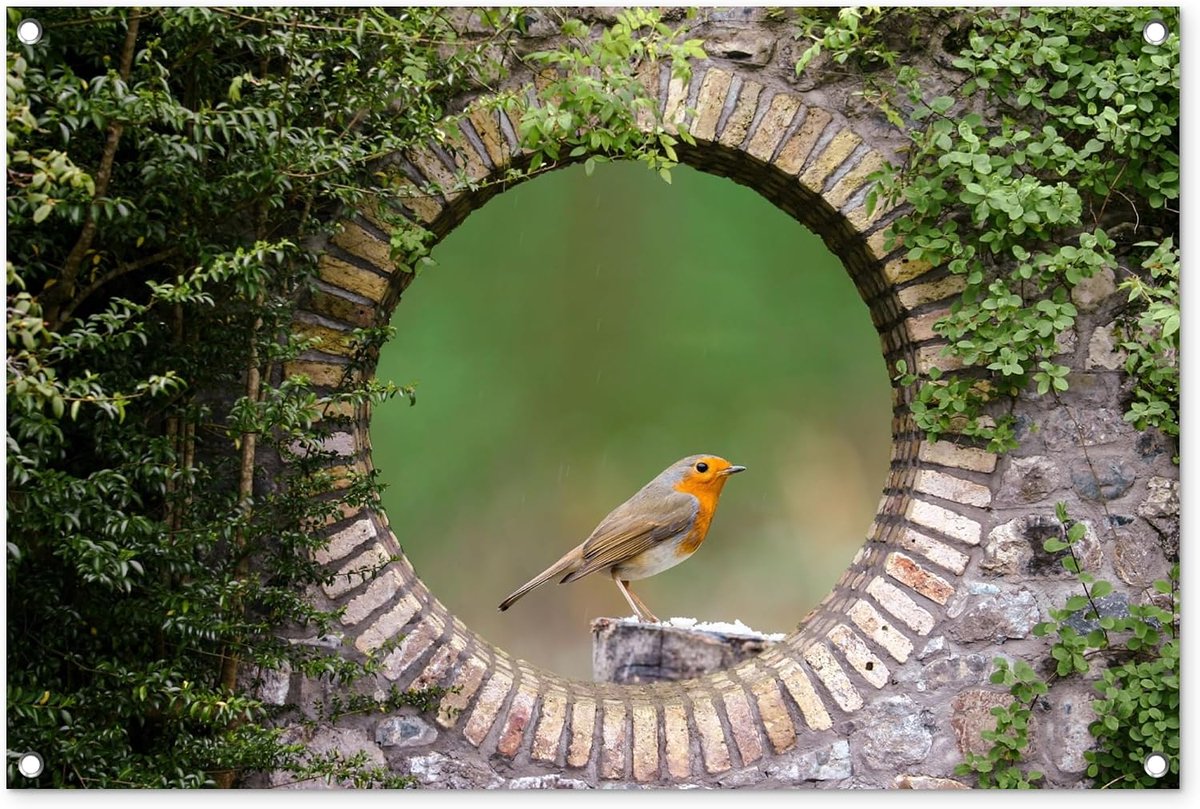 Tuinposter 90x60 cm Balkon Tuindecoratie Poster Garden Outdoor Posters Tuin Decoratie Tuinposters Voor Buiten Terras Tuinmuurdecoratie Vogel - Doorkijk - Roodborstje