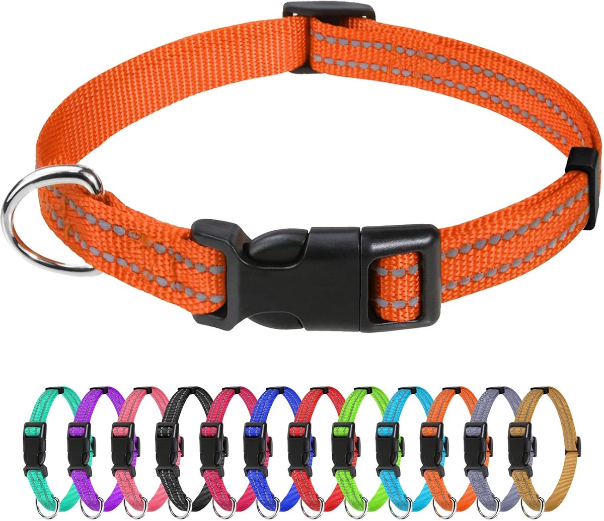Reflecterende nylon hondenhalsbanden, verstelbare klassieke halsband met snelsluiting gesp voor puppy, oranje, 1 cm breedte