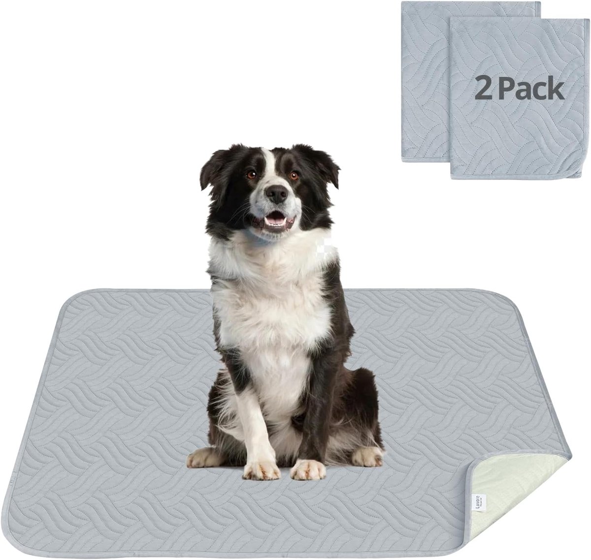Hondkussen 92 x 122 cm - Wasbaar - Direct absorberend - Ideaal voor training - ShopVlot