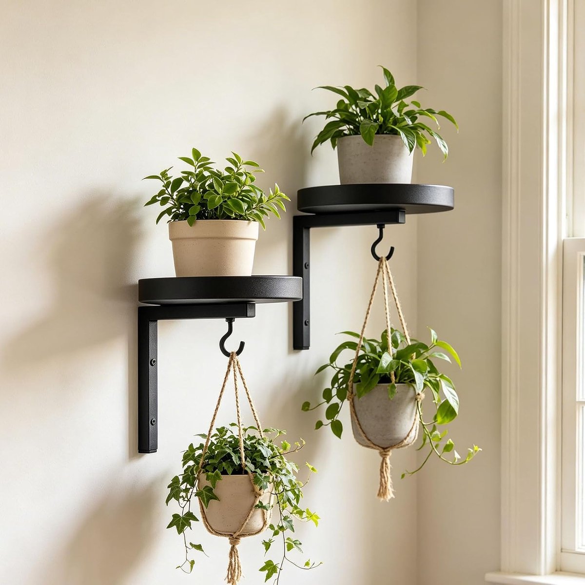 2 stuks plantenhangers, vensterbank, wandmontage, zwart | Moderne metalen zwevende standaard, hangend bloemenrek, voor buiten, huis en keukendecoratie