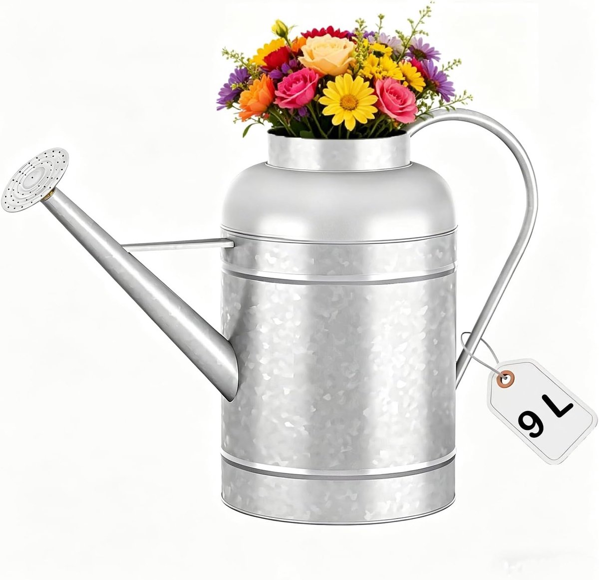 irrigatiekan voor binnenplanten buiten, kom van 2,3 gallon, waterkan met afneembare uitloop, metalen irrigatiekan voor binnenplanten en tuinbloemen