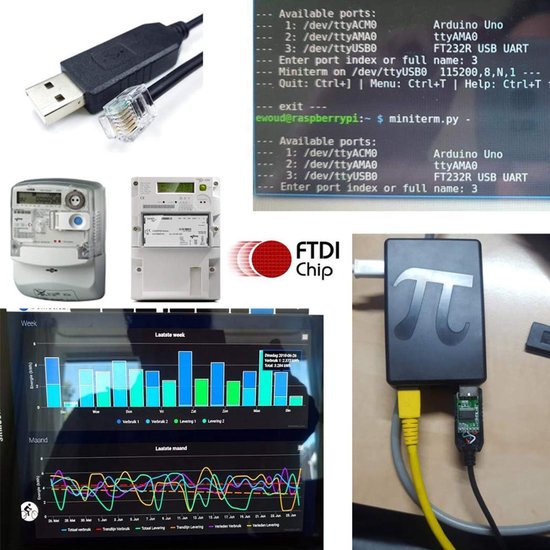 Domotica op Raspberry DSMR Nederlandse P1-poort, kabel voor slimme meter met FTDI Chip 5v TTL UART Logic Level-signalen USB naar RJ11 RJ12 6P6C-poort (voor ISKRA AM550/Sagemcom XS210 T210-D) — afbeelding 2