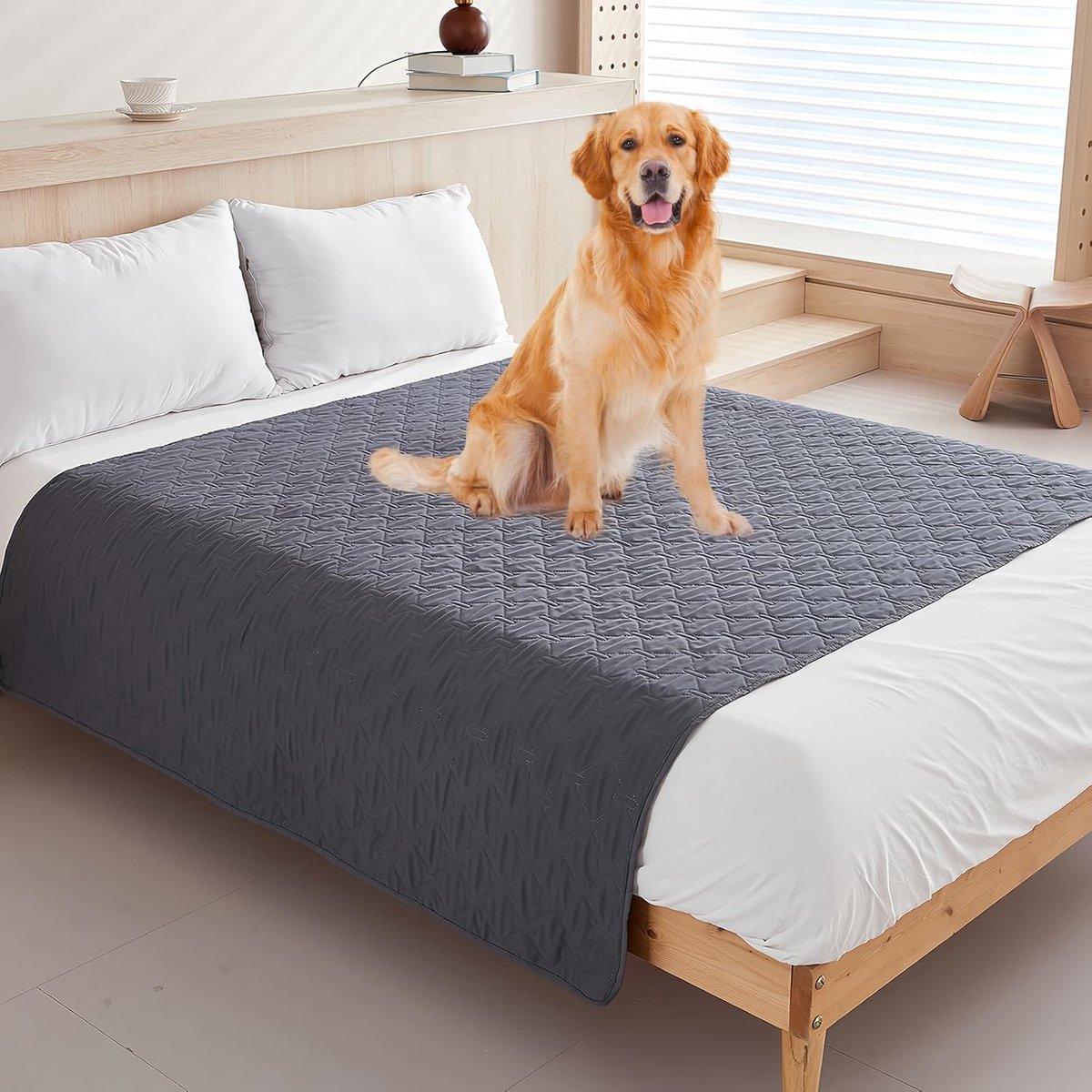 Waterdichte hondendeken 200 x 130 cm - Microfiber - Lekvrij - Bescherming voor bank en bed - SnelShoppen