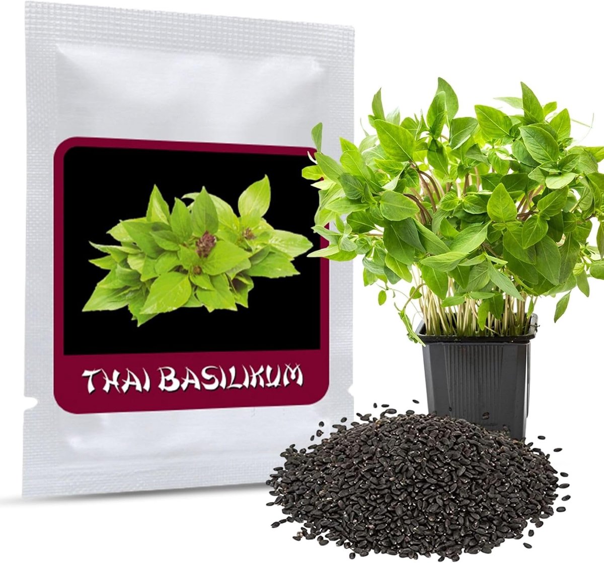 Thai basil zaden (100 stuks) - Ocimum basilicum - Intense anijsaroma - Perfect voor oosterse gerechten - SnelShoppen