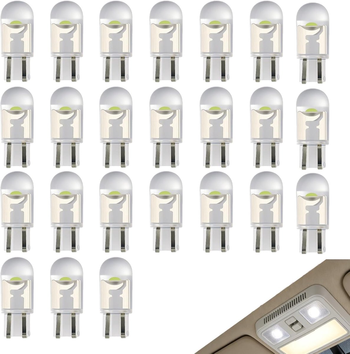 Gloeilampen voor binnen- en tuinverlichting